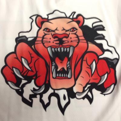 Moose Mountain Minor Hockey League Midget Carlyle Cougars. Updates on news and information. 14/15 South Provincial Champions 15/16 MMMHL League Champions