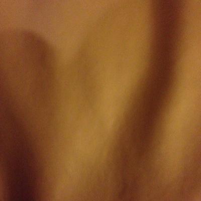 BangoutBoyz's profile picture. 