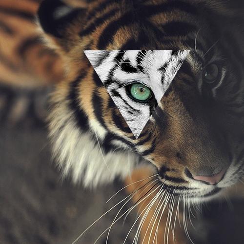 gowanusly's profile picture. commentary, happenings, and shenanigans in and around a piece of South Brooklyn