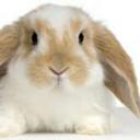 Dustin Lynch - @dustinlynch2001 - Twitter