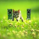 Facundo Ibarra - @facugamer13 - Twitter