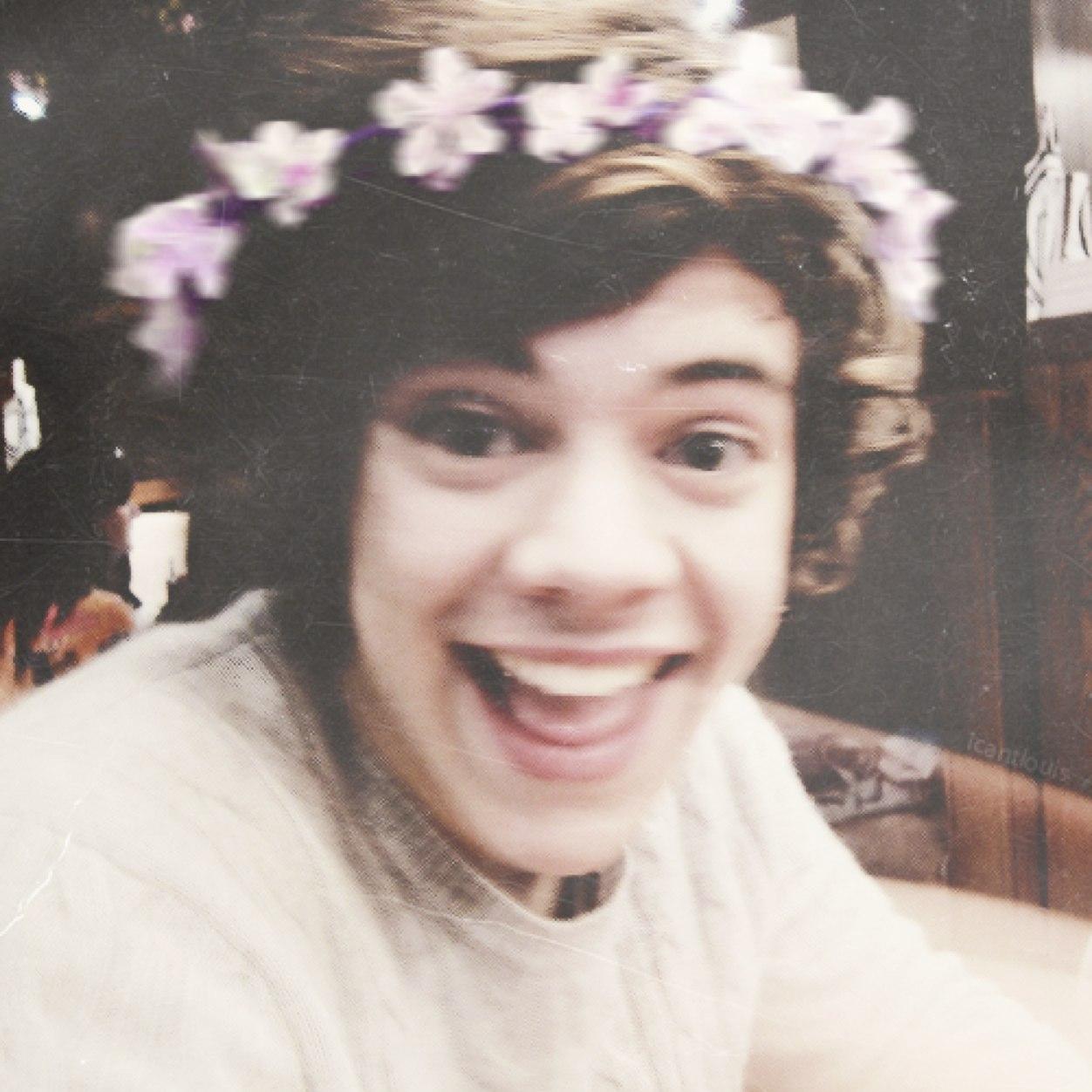 hi im harry! i really like flowers and pretty things.