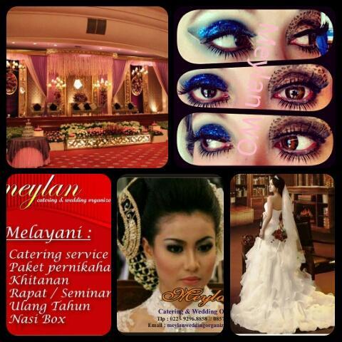 meylanwedding's profile picture. 