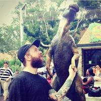 jamesolstein (@jamesolstein) 's Twitter Profile