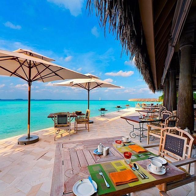 TravellerLuxury's profile picture. travel luxury tourism vacation holiday honeymoon