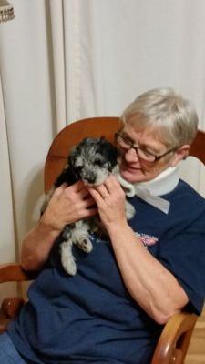 CherylLaimon's profile picture. 