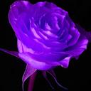 Krissy Green - @MissKrissyGreen - Twitter