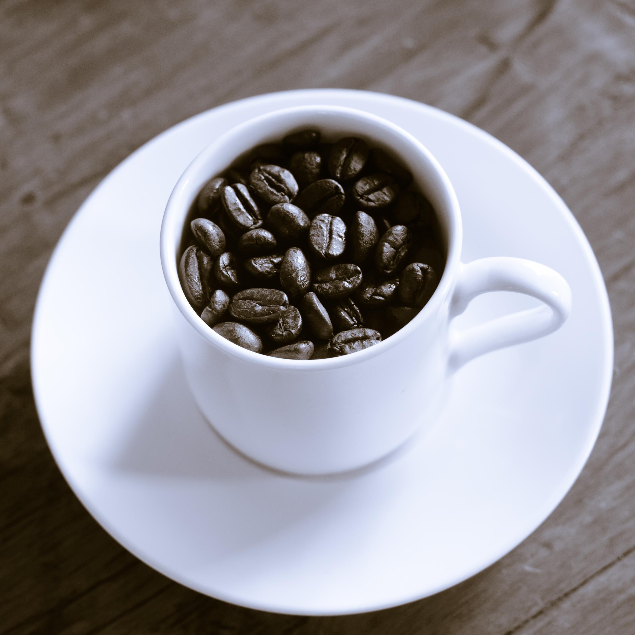 ben_nakagawa's profile picture. 