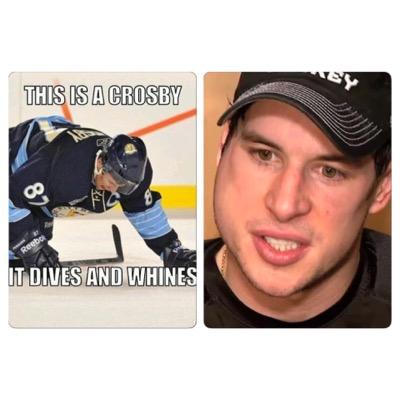 Not Sidney Crosby. We just really hate the biggest whiner in the history of sports. All #NYR #NJD #Flyers #Caps & Anti-Pens fans should follow. #CrosbySucks