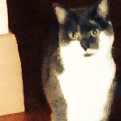 notforthepublic's profile picture. 