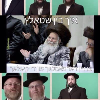 Fan and chosid of the one and only gaon, noam hamidos and bal mofes #shtultzbobver rebbi!! This account isnt affiliated with any party just a heimisher chosid!