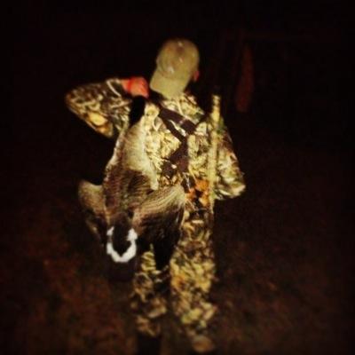 South Georgia. GSU 19
