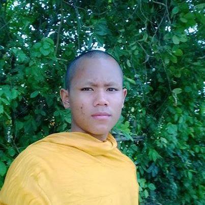 darokhmer's profile picture. 