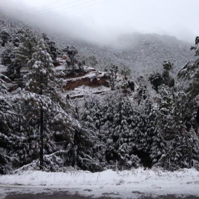 Owner and manager of a small and classy budget resort in the Himalayan Foothills