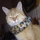 Michael Brauner - @Europeans2 - Twitter