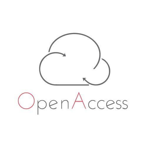 Openaccess Agence digitale applications web, solutions API et cloud