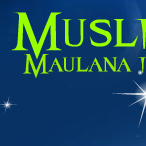 muslimmaulanain's profile picture. 