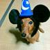 シーサー (@bingo40800) Twitter profile photo