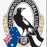 VClissold's profile picture. Love animals, family and Collingwood football club.