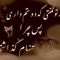 mohsen91972015's profile picture. Mohsen.barikzehi