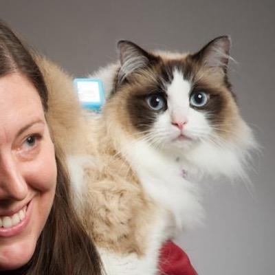 An indoor cat from Karori, Wellington, NZ. Twitter is the closest I get to birds.