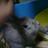 hayato5021159g1's profile image