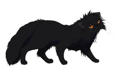 Blackish grey she-cat with lots of scars, is called a murderous cat when im not. Rp1: no clan, single. RP2: Oakclan and single