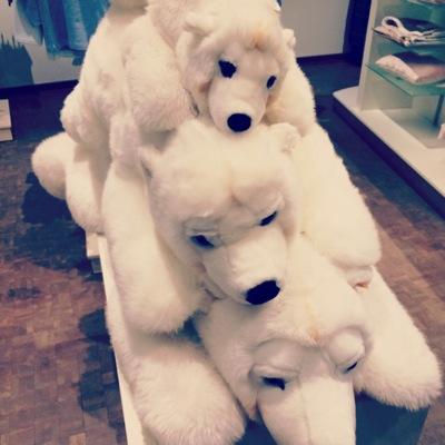 雪李さんのプロフィール画像