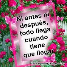 osciromero's profile picture. 