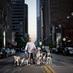 DogFit Dallas (@dogfitdallas) Twitter profile photo