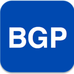 BGP4-Table Profile