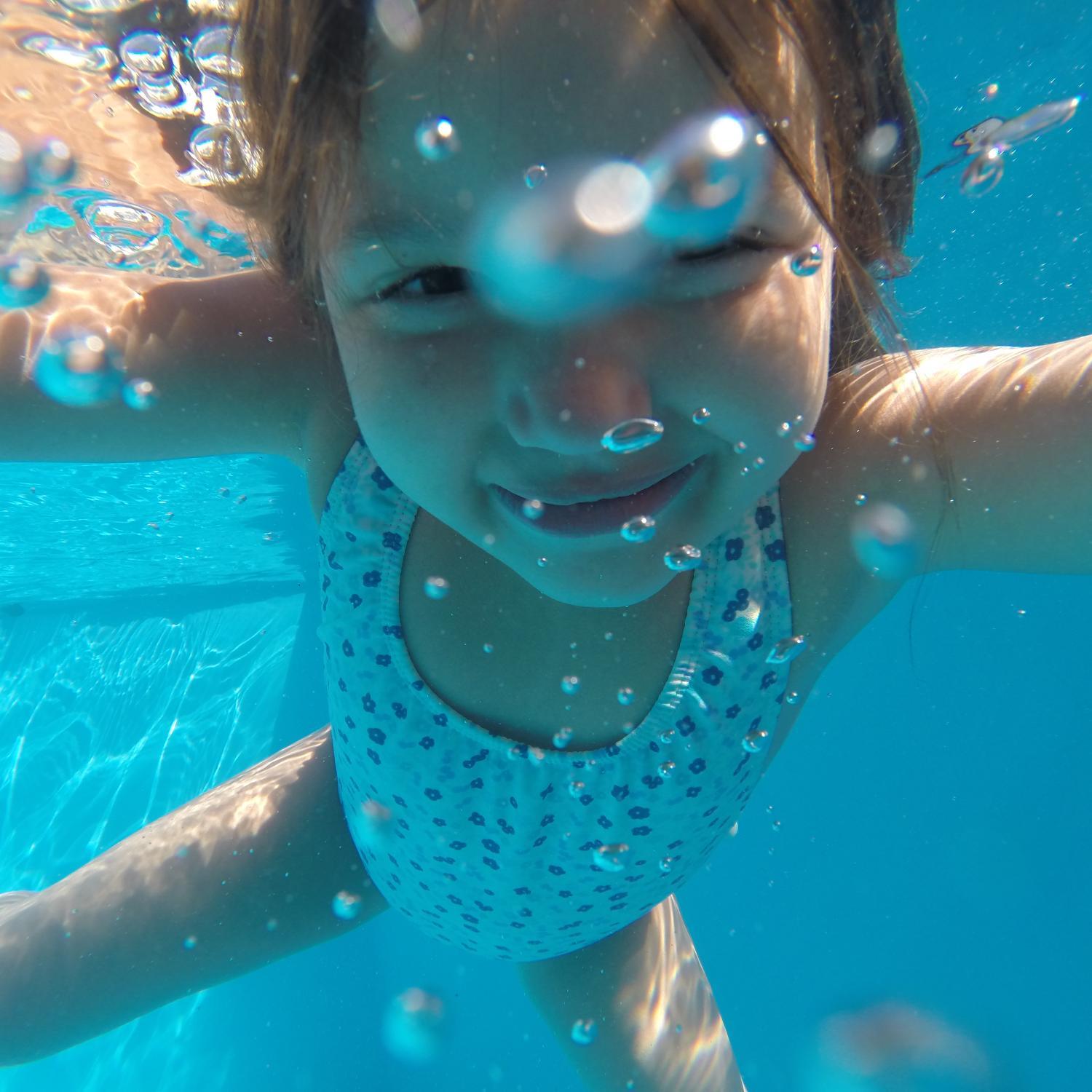 davidpauontwitt's profile picture. Gerente Técnico (?) https://t.co/JpiQIkG6Y2 toda la provincia un solo lugar. Tablerista en tiempos libres  Peronista K