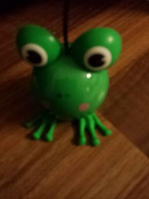 aoibhin fallon Profile