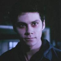 stiles fann (@iboteeeeewolf) 's Twitter Profile