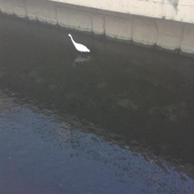 drone_fire's profile picture. 