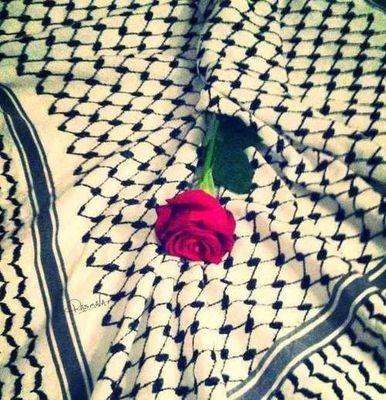 ‏أنا لا شفتك بضيقة أحس أني أنا الغلطان..
أعاتب نفسي بنفسي ولو ما كنت أنا الجاني