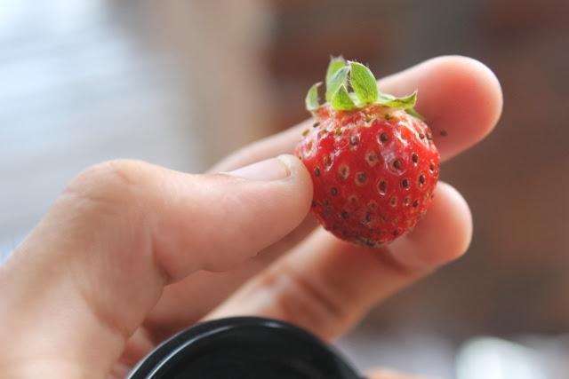 nono_o1no's profile picture. 