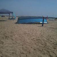 zizzarback (@zizoushow) 's Twitter Profile