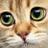 歩く子猫のアイコン