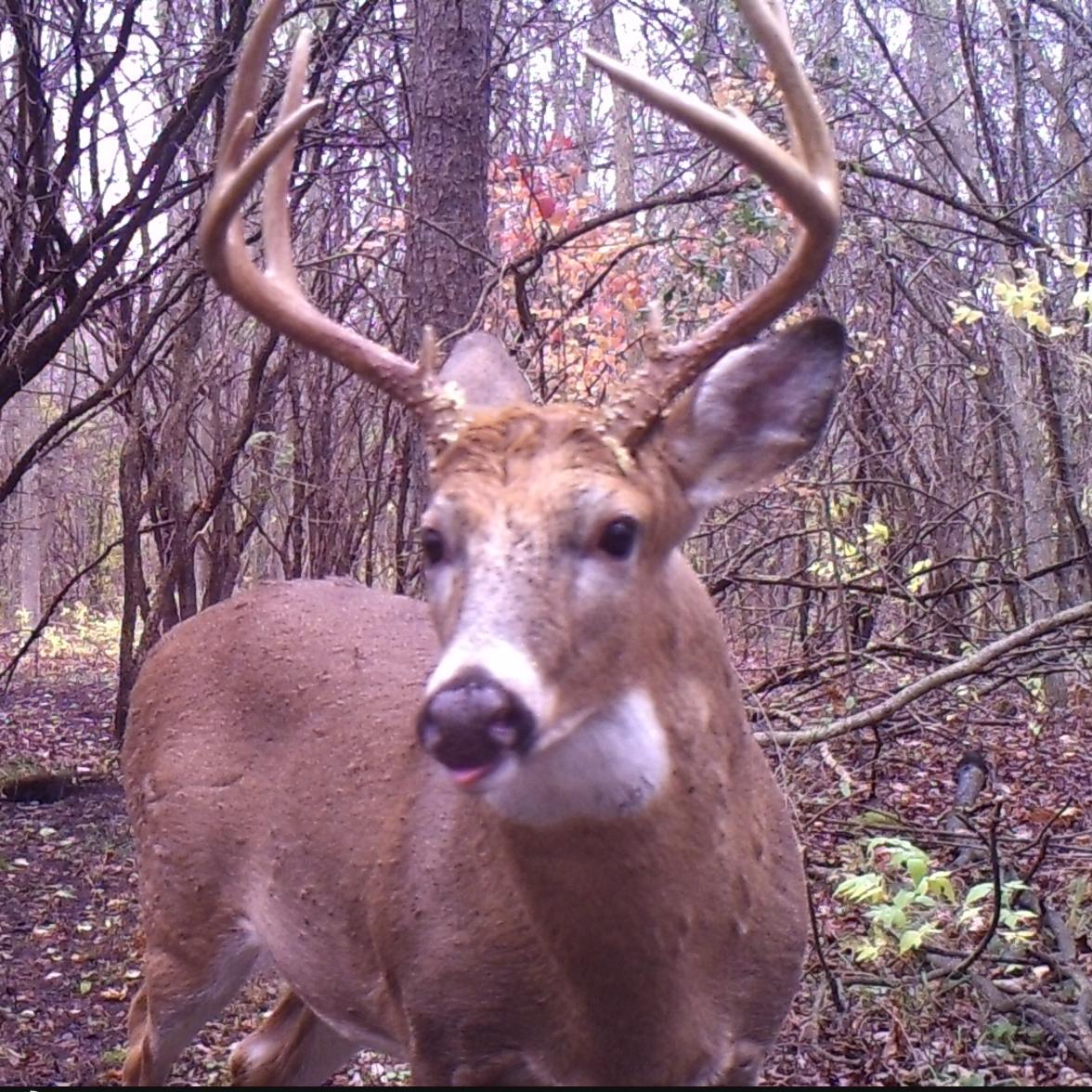 huntingtime61's profile picture. 