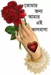 nasirrana5's profile picture. 