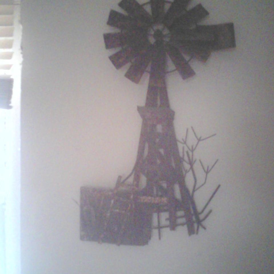 dogscatsnrabbit's profile picture. every thing stoned