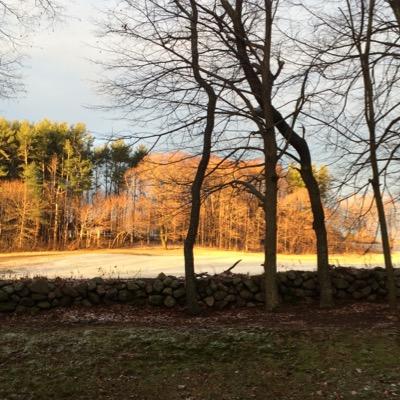 RawlinsMartha's profile picture. 