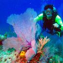 Greg Harris - @aquafixx - Twitter