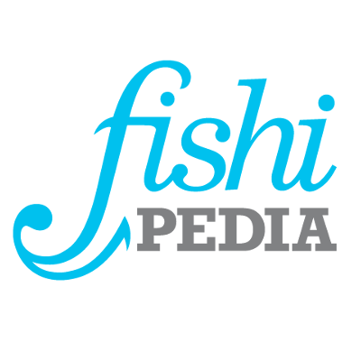 L'encyclopédie des animaux aquatiques, de l'aquariophilie et de la plongée. Partagez vos publications avec #fishipedia
Un poisson averti en vaut deux. 🤓