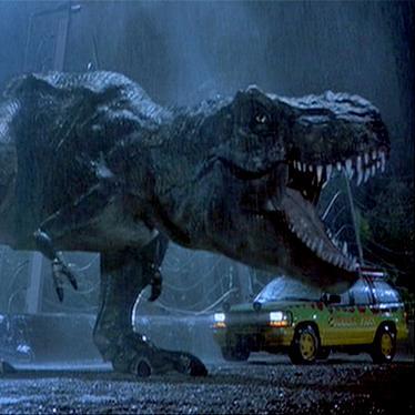 Dinosaur Enthusiast