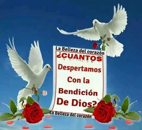 MillerMorales10's profile picture. Lo mas bonito en la vida es tener.  Dios en primer lugar amo adios mi esposa y mis hijos