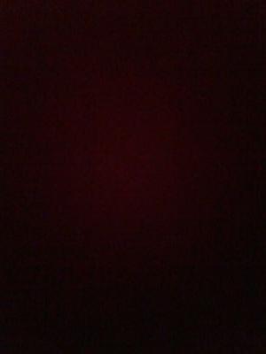 Daniilo23 Profile Picture