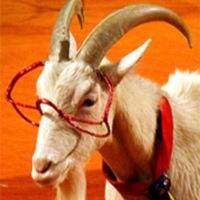 Finals week sucks. The WPI student body is stronger together than we are apart. Use this page to stick together and motivate your peers!