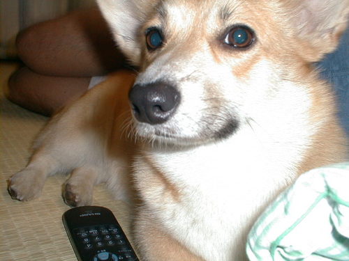 morepowers's profile picture. 